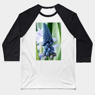 Bellevalia paradoxa  Grape hyacinth  syn.  Muscari paradoxum Baseball T-Shirt